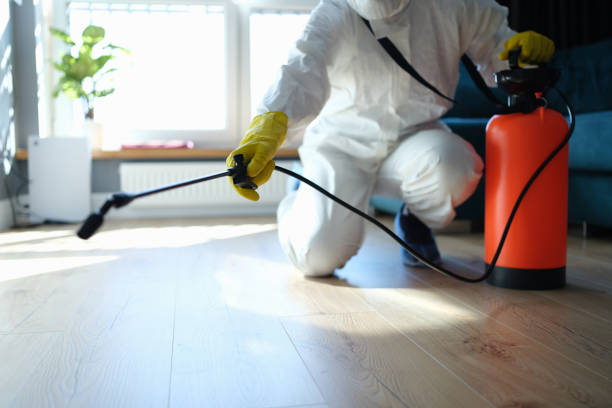 Reliable Odor Removal contractor in Hudson, IL by Crime Scene Cleaner Online